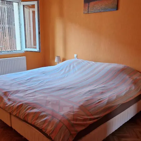 Le Grillenbreit Apartment Colmar