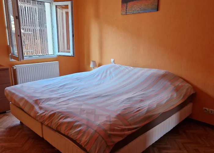 Le Grillenbreit Apartment Colmar